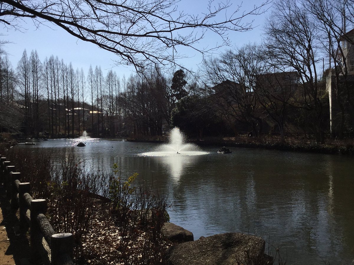 🌳 카이가라야마 공원 이미지 4